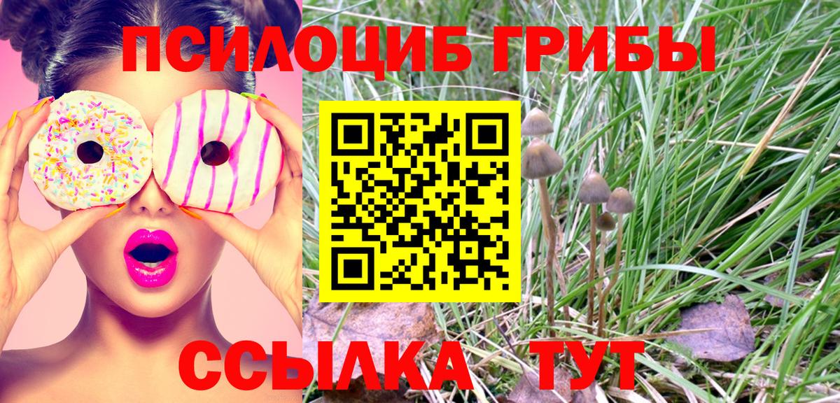 Верхняя Пышма  Псилоцибиновые грибы Psilocybe  Вход с VPN  Псилоцибиновые грибы Magic Shrooms 